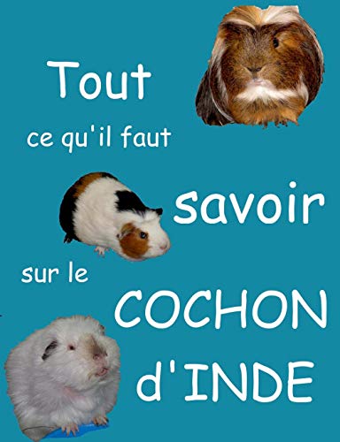 9782322036875: Tout ce qu'il faut savoir sur le cochon d'inde (French Edition)