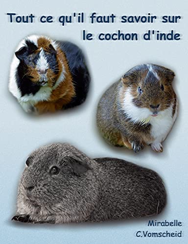 Stock image for Tout ce qu'il faut savoir sur le cochon d'inde (nouvelle dition): nouvelle dition (French Edition) for sale by Books Unplugged