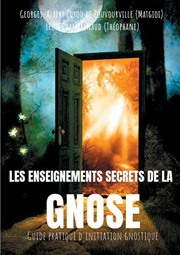 9782322165575: Les enseignements secrets de la Gnose: Guide pratique d'initiation gnostique