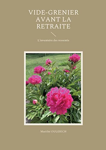 Stock image for Vide-grenier avant la retraite:L'inventaire des ressentis for sale by Blackwell's