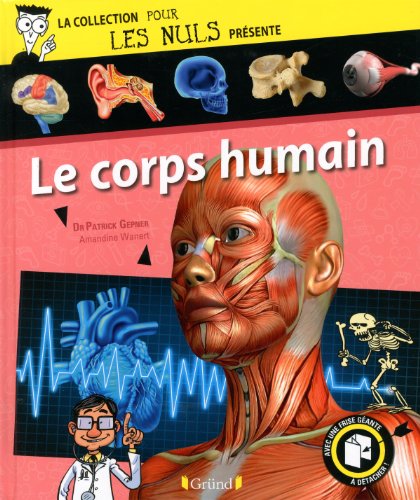 Imagen de archivo de Pour Les Nuls prsente Le Corps humain a la venta por Ammareal