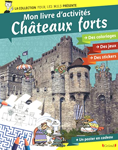 9782324008122: POUR LES NULS ACTIVITES - Les Chteaux-forts