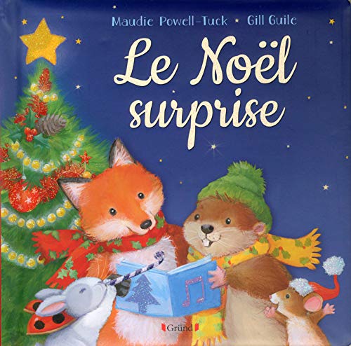 Stock image for Le Noël surprise for sale by ThriftBooks-Dallas