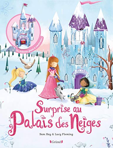 Stock image for Surprise au Palais des Neiges Hay, Sam et Fleming, Lucy for sale by BIBLIO-NET