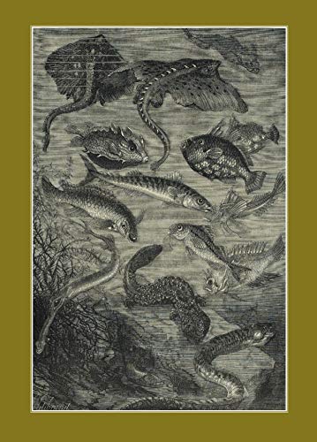 Stock image for Carnet Lign . Vingt Mille Lieues Sous Les Mers, Jules Verne, 1871. Le Fleuve Noir for sale by Lucky's Textbooks