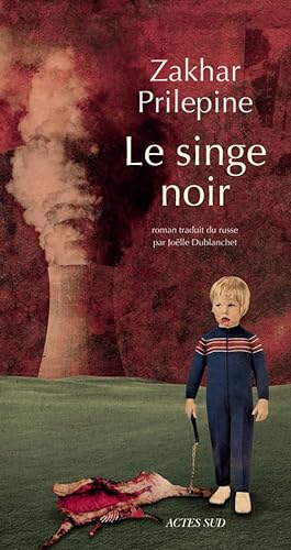 Stock image for Le singe noir for sale by Ammareal