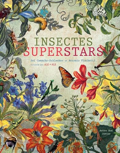 Beispielbild fr Insectes superstars zum Verkauf von Ammareal