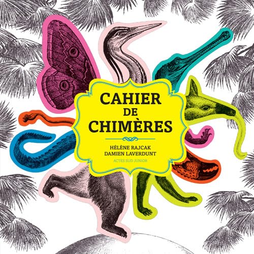 Beispielbild fr Le cahier de chimres zum Verkauf von Gallix