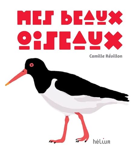 Beispielbild fr Mes beaux oiseaux zum Verkauf von Gallix