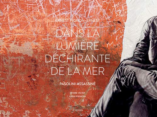Stock image for Dans la lumire dchirante de la mer : Pasolini assassin for sale by medimops