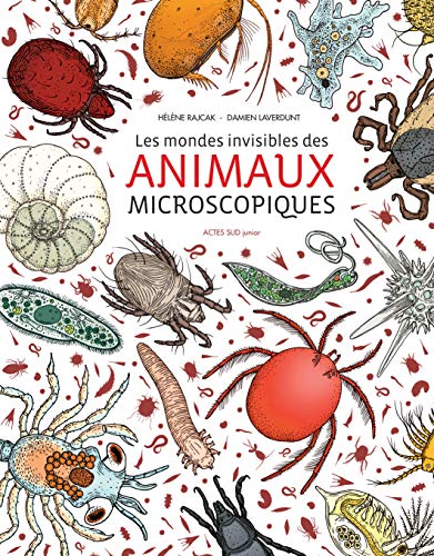 Beispielbild fr Les mondes invisibles des animaux microscopiques zum Verkauf von medimops