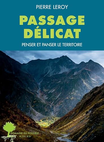 Beispielbild fr Passage dlicat: Penser et panser le territoire zum Verkauf von medimops