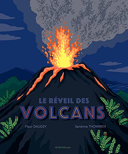 Beispielbild fr Le rveil des volcans zum Verkauf von Gallix