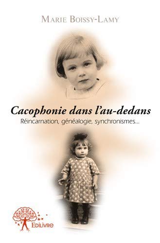 Beispielbild fr Cacophonie Dans l'au-Dedans zum Verkauf von medimops