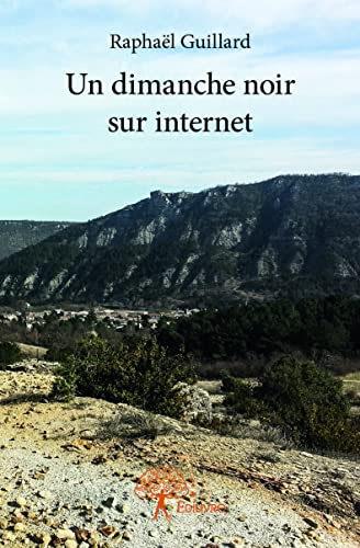 9782332922403: Un dimanche noir sur internet