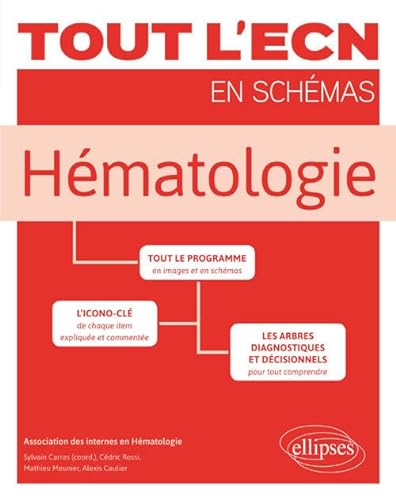 Stock image for Tout l'ECN en Schmas Hmatologie for sale by Ammareal