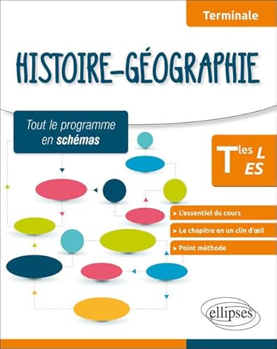 Stock image for Histoire-Gographie Terminales L ES Tout le Programme en Schmas for sale by medimops