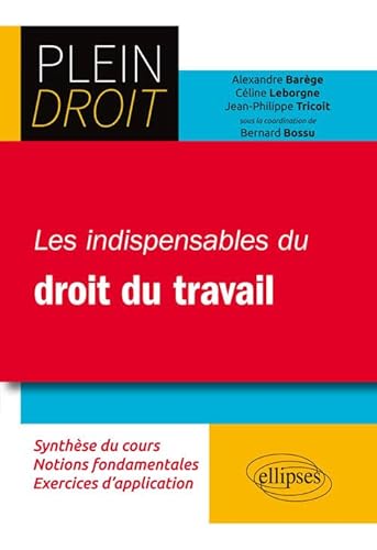 Beispielbild fr Les Indispensables du Droit de Travail zum Verkauf von Ammareal