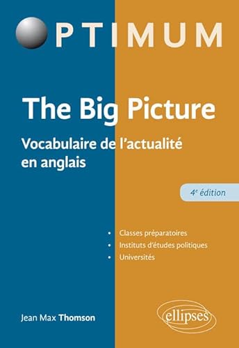 Stock image for THE BIG PICTURE - 4E DITION for sale by medimops