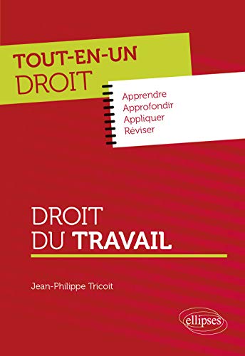 Imagen de archivo de Droit du travail a la venta por Ammareal