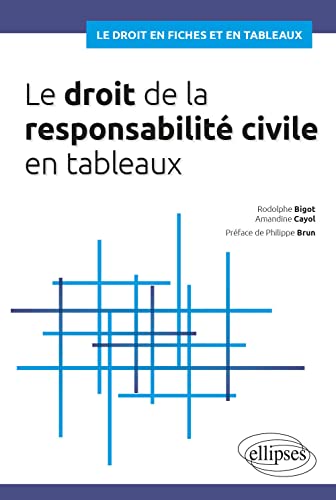 Stock image for Le droit de la responsabilit civile en tableaux [Broch] Bigot, Rodolphe; Cayol, Amandine et Brun, Philippe for sale by BIBLIO-NET