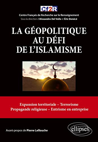 Beispielbild fr La gopolitique au dfi de l'islamisme (French Edition) zum Verkauf von Gallix
