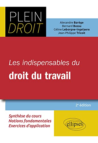 Stock image for Les indispensables du droit du travail for sale by Gallix