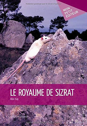 9782342038927: Le Royaume de Sizrat