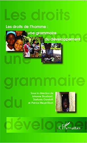 Stock image for Les droits de l'homme : une grammaire du dveloppement for sale by Ammareal