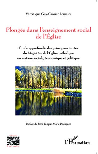 9782343040011: Plonge dans l'enseignement social de l'Eglise: Etude approfondie des principaux textes du magistre de l'Eglise catholique en matire sociale, conomique et politique