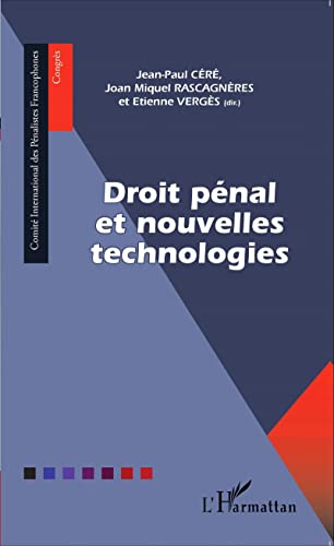 Stock image for Droit pnal et nouvelles technologies (French Edition) for sale by Gallix