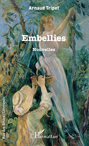 9782343133195: Embellies: Nouvelles