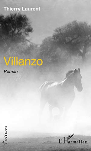 Beispielbild fr Villanzo: Roman zum Verkauf von medimops