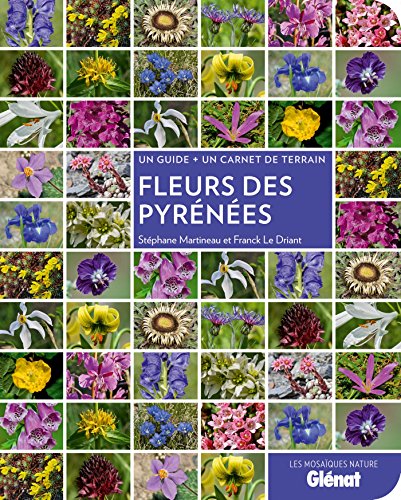 Beispielbild fr Fleurs des Pyrnes zum Verkauf von Librairie Th  la page