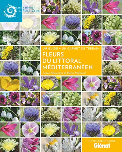 Stock image for Fleurs du littoral mditerranen for sale by Ammareal