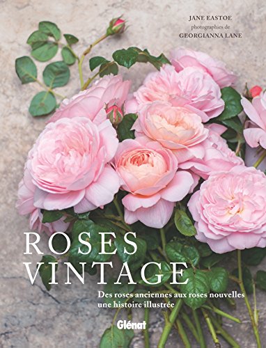 Stock image for Roses vintage : Des roses anciennes aux roses nouvelles : une histoire illustre for sale by medimops
