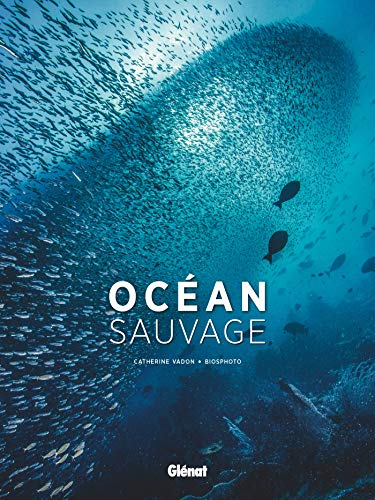 Stock image for Ocan sauvage for sale by GF Books, Inc.