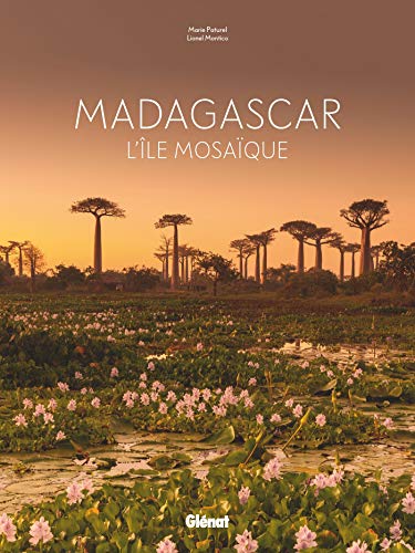 Beispielbild fr Madagascar zum Verkauf von medimops