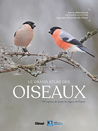 Beispielbild fr le grand atlas des oiseaux : 150 espces de toutes rgions de France zum Verkauf von Chapitre.com : livres et presse ancienne