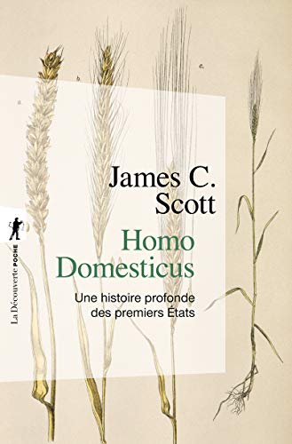 Beispielbild fr Homo domesticus - Une histoire profonde des premiers Etats zum Verkauf von Gallix