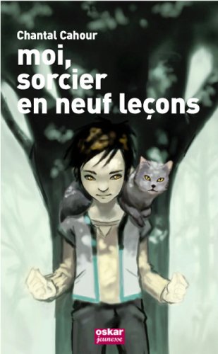 Stock image for Incroyable sorcier : Moi, sorcier en neuf leons for sale by Ammareal