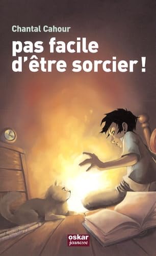 Beispielbild fr Incroyable sorcier : Pas facile d'tre sorcier ! zum Verkauf von Ammareal