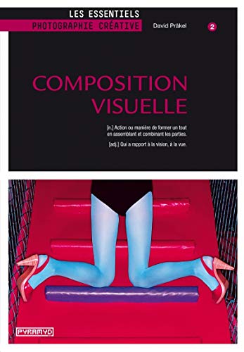 Beispielbild fr Composition visuelle zum Verkauf von Gallix