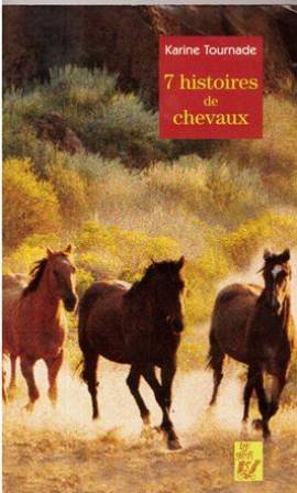 Beispielbild fr 7 HISTOIRE DE CHEVAUX zum Verkauf von Ammareal