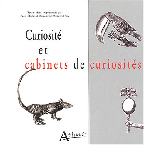 Cabinet de curiosités : définition et explications
