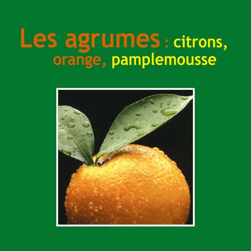 Beispielbild fr Agrumes : citron, orange, pamplemousse (Les) zum Verkauf von Le Monde de Kamlia