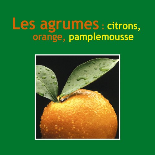 9782350352138: Les agrumes: Citron, orange, pamplemousse