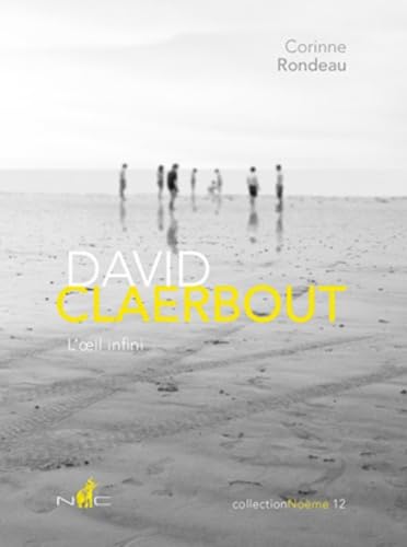 Immagine stock per David Claerbout: L'oeil infini