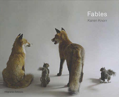 Imagen de archivo de Fables a la venta por RECYCLIVRE