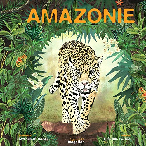 Beispielbild fr Amazonie zum Verkauf von LeLivreVert